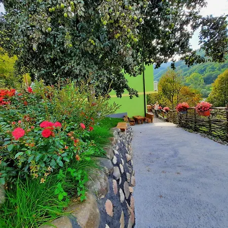 Apartament Biser Drine *