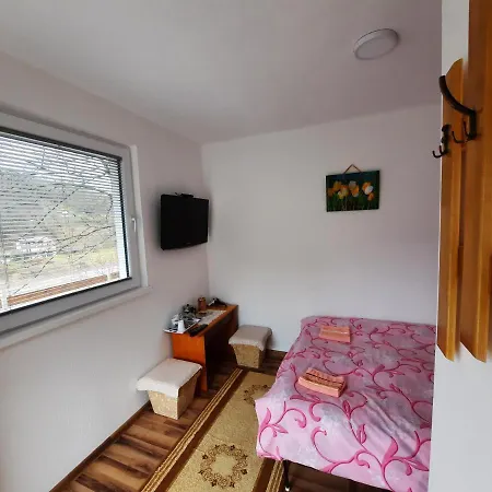 Biser Drine Apartment *