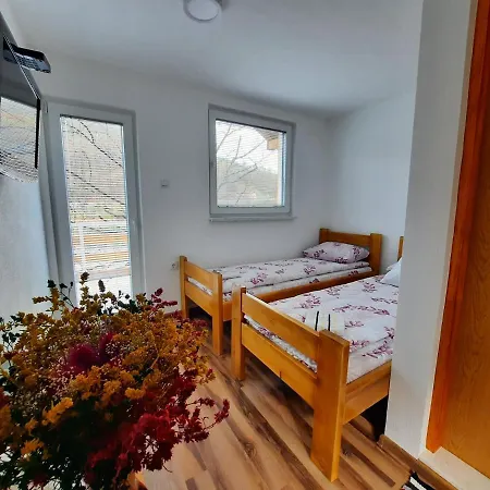 Biser Drine Apartament *